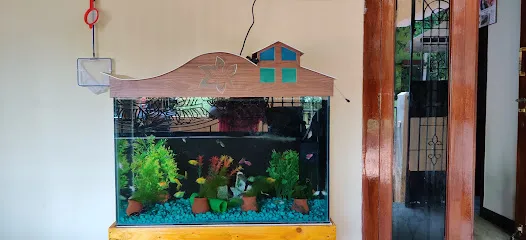 Ayesha Aquarium