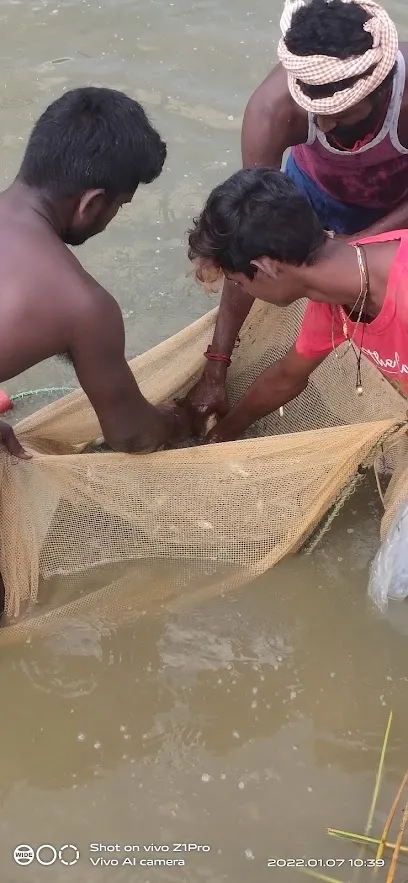 R H Nathan Fish Farm