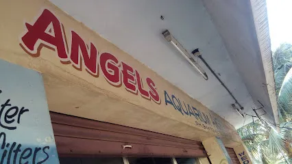 Angels Aquarium