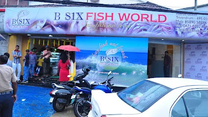 B Six Fish World