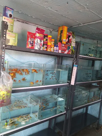 Choice Home Aquarium