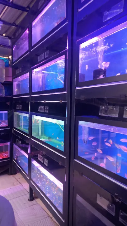 Loveshore Aquarium