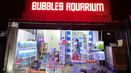 Bubbles Aquarium