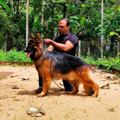 Gsd K9 Thrissur