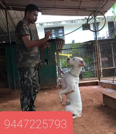 Sureksha K9 Dog Training School