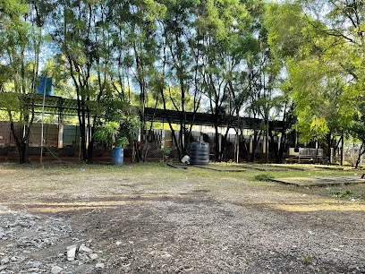 White Dog Kennels And Boarding