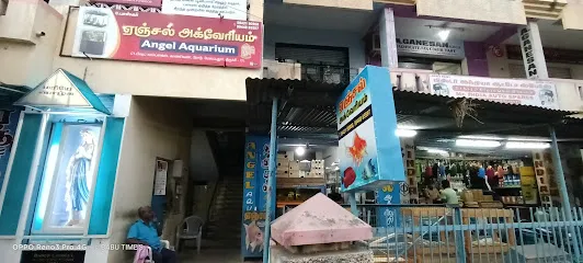 Angel Aquarium & Aquarium In Trichy