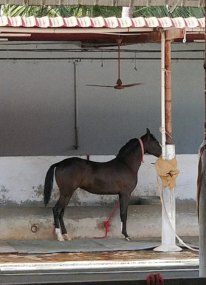 Liberty Kennel (Jery Farm)