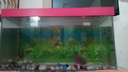 Vasantha Aquarium