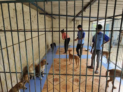 Animal Care Street Dogs ,Tirupati