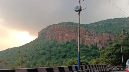 Tirumala Wildlife Crossing