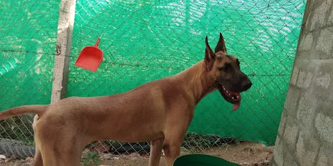 Senabathis Spartan Kennel