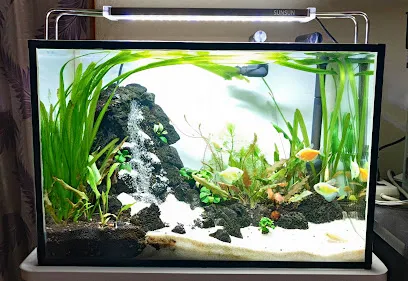 You Like Aquascaping