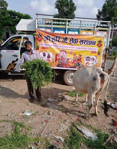 Shree Hari Gau Sewa Sansthan Udaipur