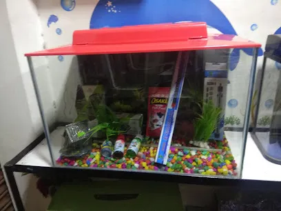 Vrishabh Fish & Aquarium Gallery