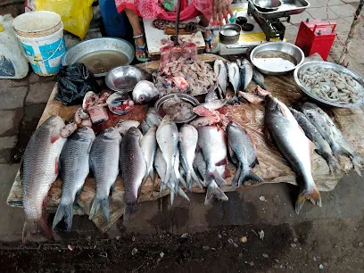 Local Fish Seller