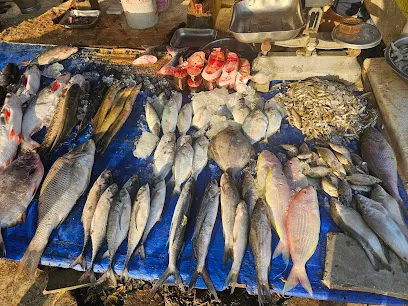 Mahakali Fish Shop