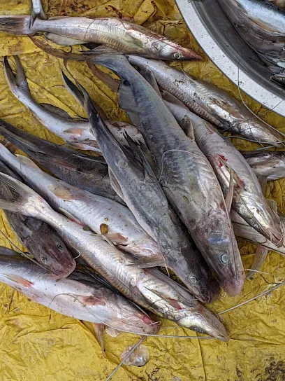 Fish Market, Sundarpur