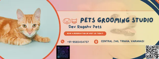 Pet Grooming Studio