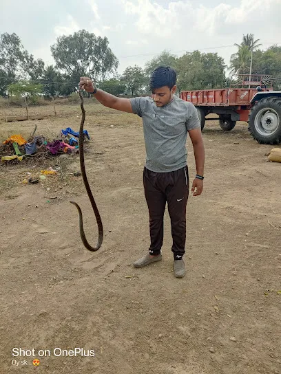 Vijayapur Snake Rescurs