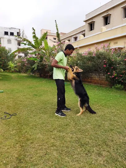 Dogs Trainer At Your Home