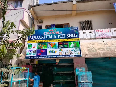 Chandra Aquarium & Pet Shop