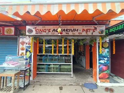 Kings Aquarium & Pets