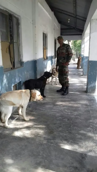 Kumar(Ex-Army Dog Trainer)