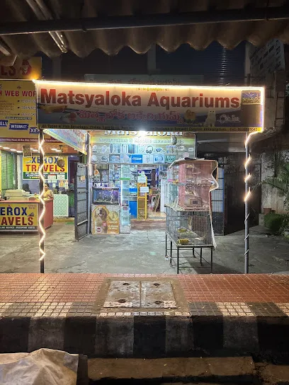 Matsyaloka Aquariums