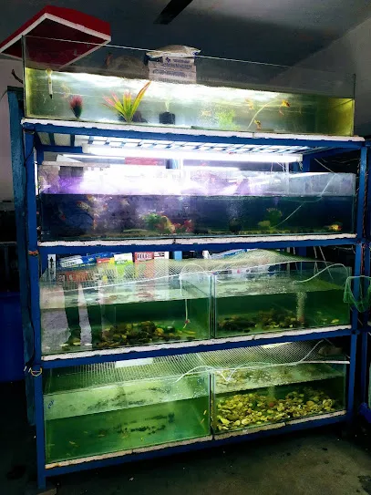 Sha Aquarium