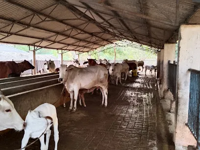 Simhachalam Devasthanam Goshala