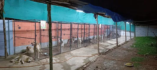 Sri Krishna Kennels