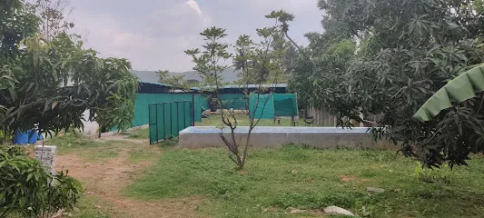 Vizag Pet Park Kennel