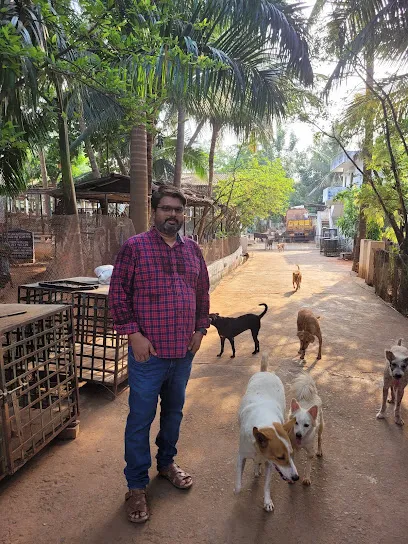 Vspca Visakha Society For Protection And Care Of Animals