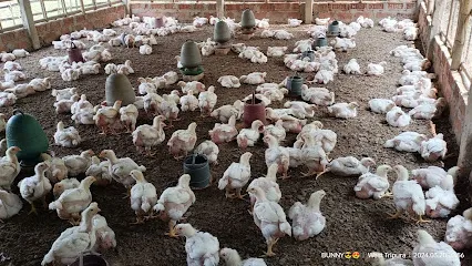 Sinha's Poultry Farm