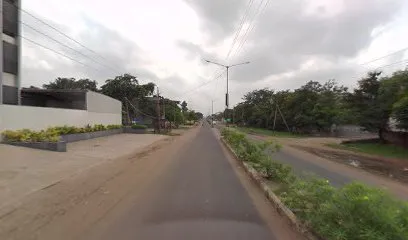 Snake Rescue Ahmedabad