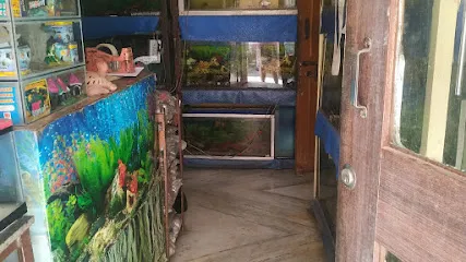 Kapoor Fish Aquarium