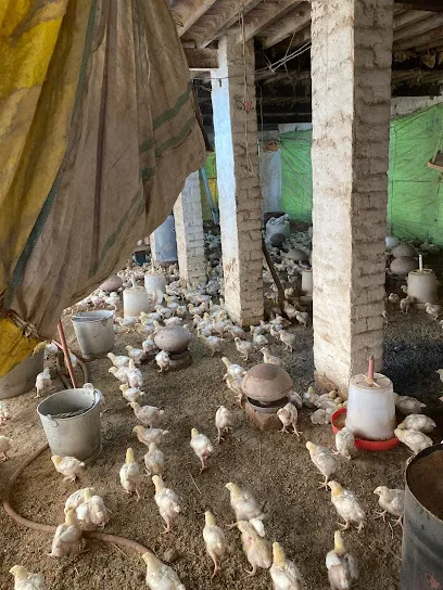 Brar Poultry Farm