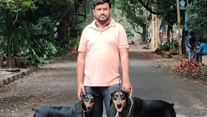 Bangalore Dog Walking And Training