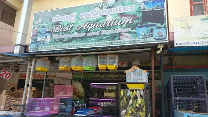 Best Aquarium Wholesale Dealers