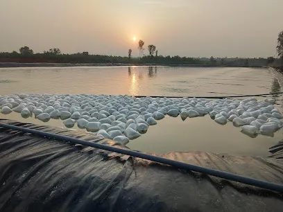 Blue Ray Fish Farm