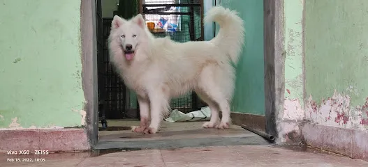 Chandan Pet