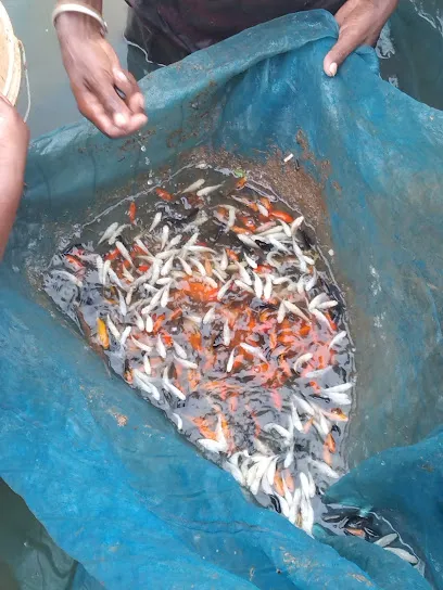 Fish Seed Production And Rearing Farm