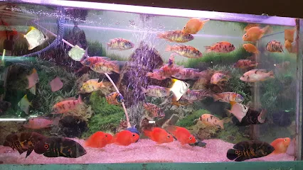 Harish Birds & Fish Aquarium Zone