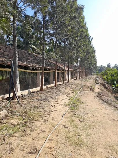 Jk Poultry Farm