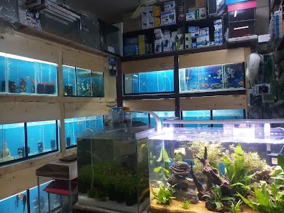 Kamfa Aquarium