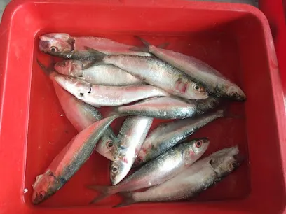 Karnataka Fish Stall