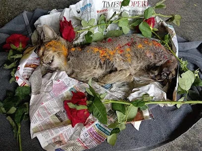 Karnataka Pets Funeral Service