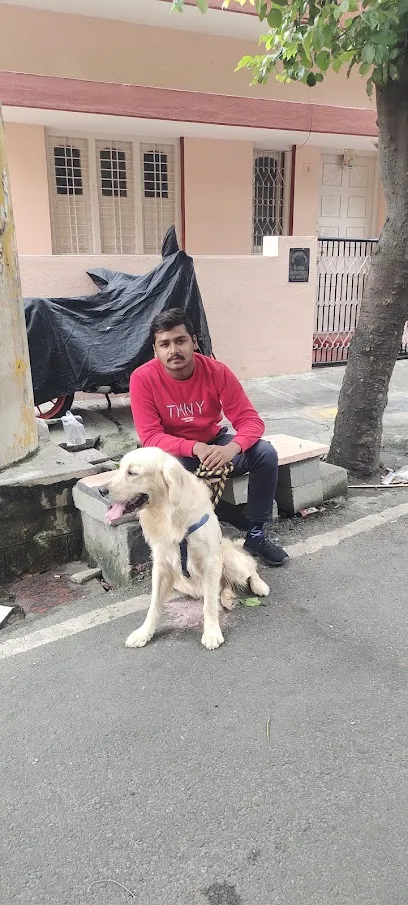 Karthik Dog Walkers & Pet Sitters(At Your Home)