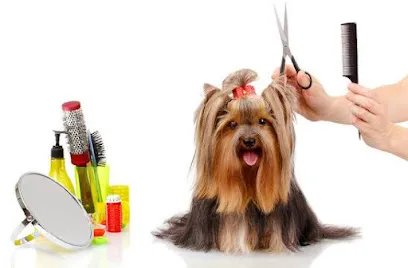 Kittens And Pups Pet Grooming